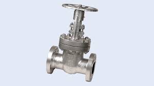 Stainless Steel Valves